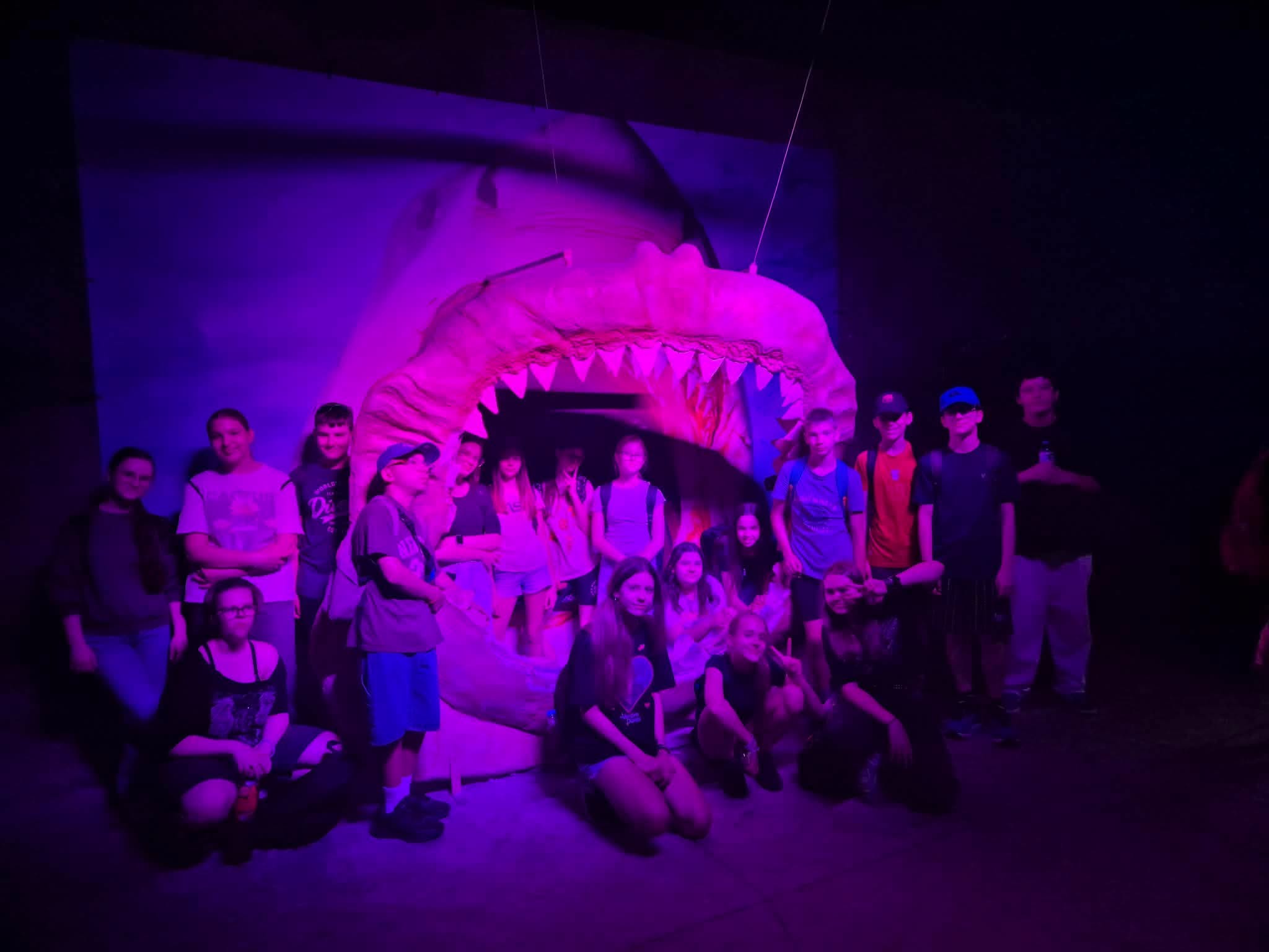 6b w ZOO